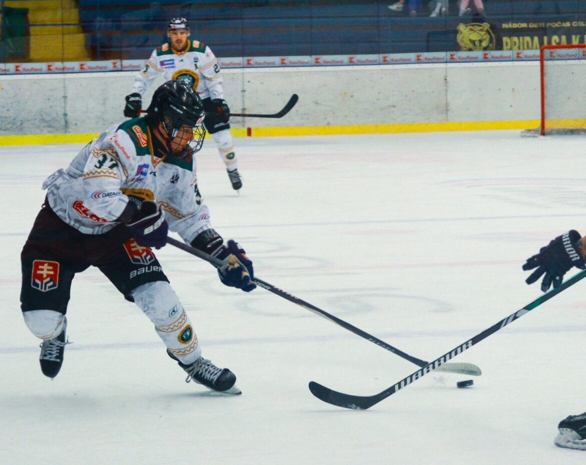 HOKEJ: Individuálne štatistiky hráčov HK DOXXbet Detva po jedenástich kolách TIPOS SHL